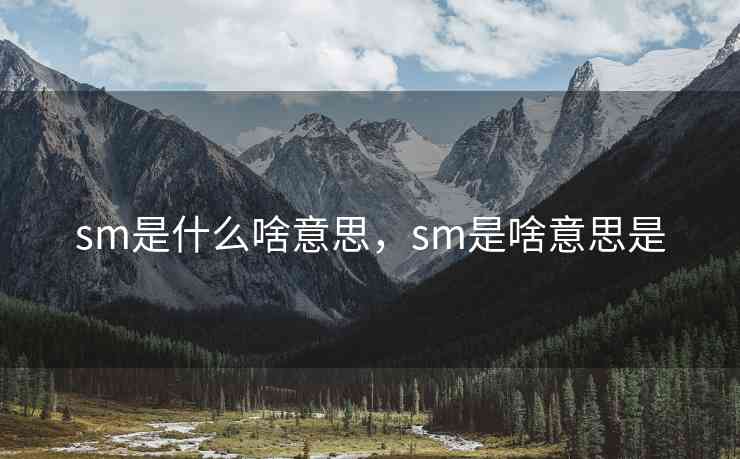 sm是什么啥意思，sm是啥意思是