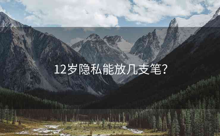 12岁隐私能放几支笔？