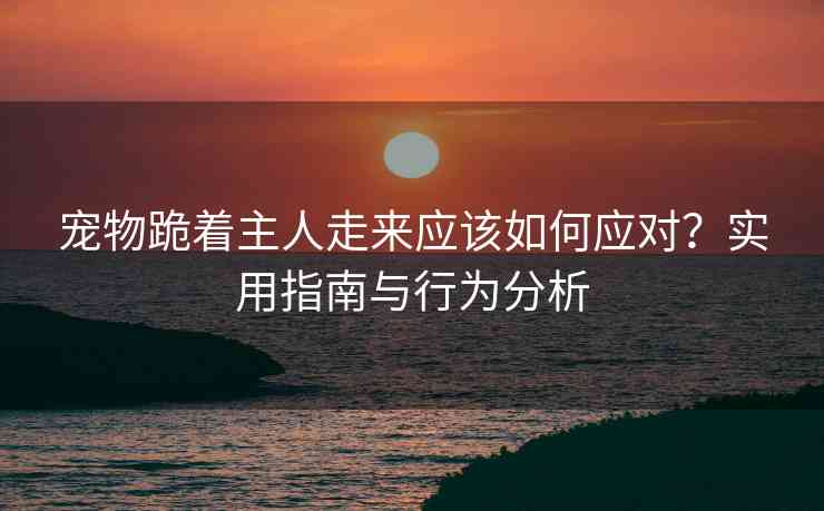 宠物跪着主人走来应该如何应对？实用指南与行为分析