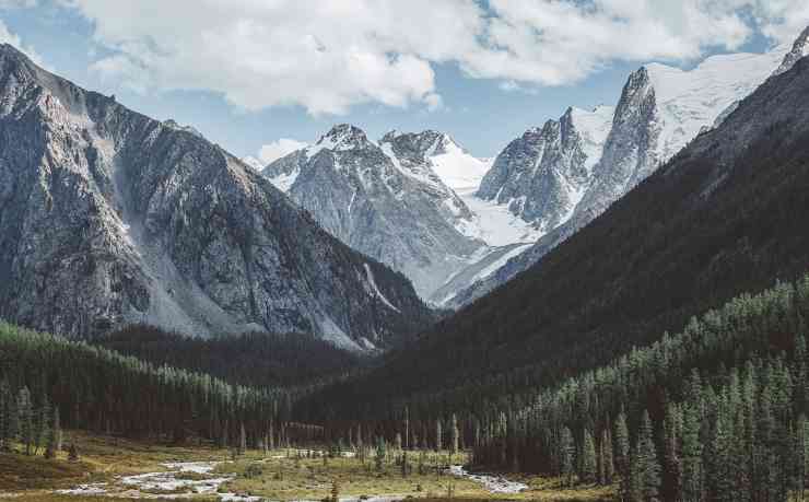TTTZZZ黑料不打烊肾虚十八连:重塑男性健康的新突破 TTTZZZ黑料不打烊肾虚十八连:重塑男性健康的新突破